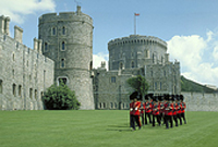 windsor 200